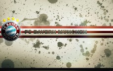 【开云】黄博文正式受邀出任青训总监，官宣上任引爆足坛，六位数年薪与郑智期待成焦点